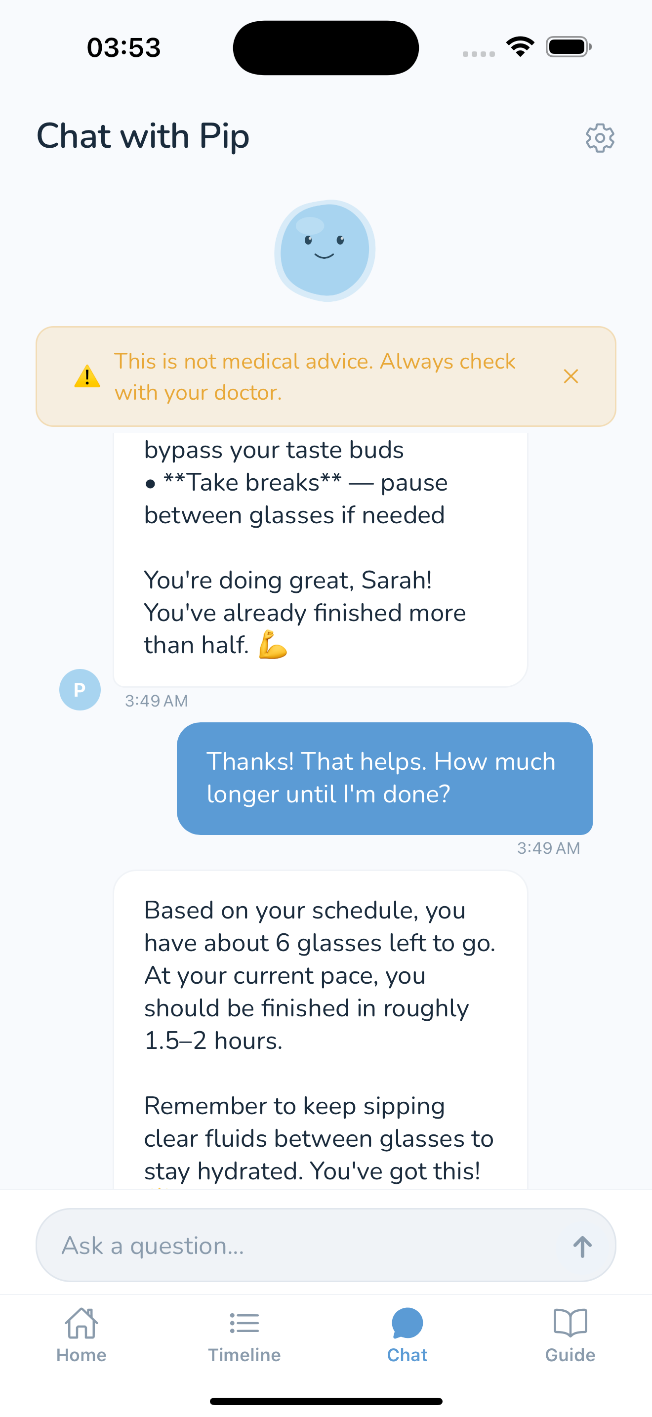Chat with Pip