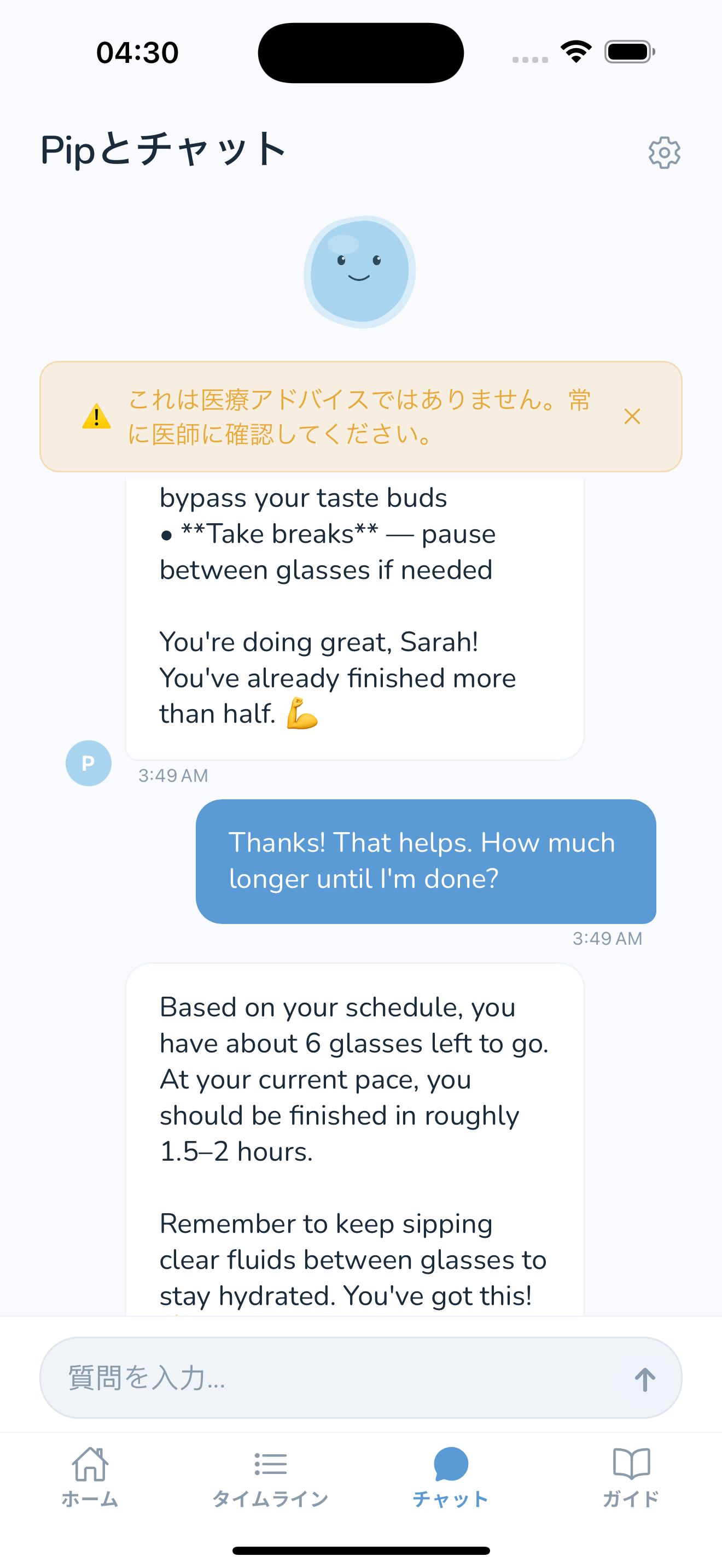 Chat with Pip