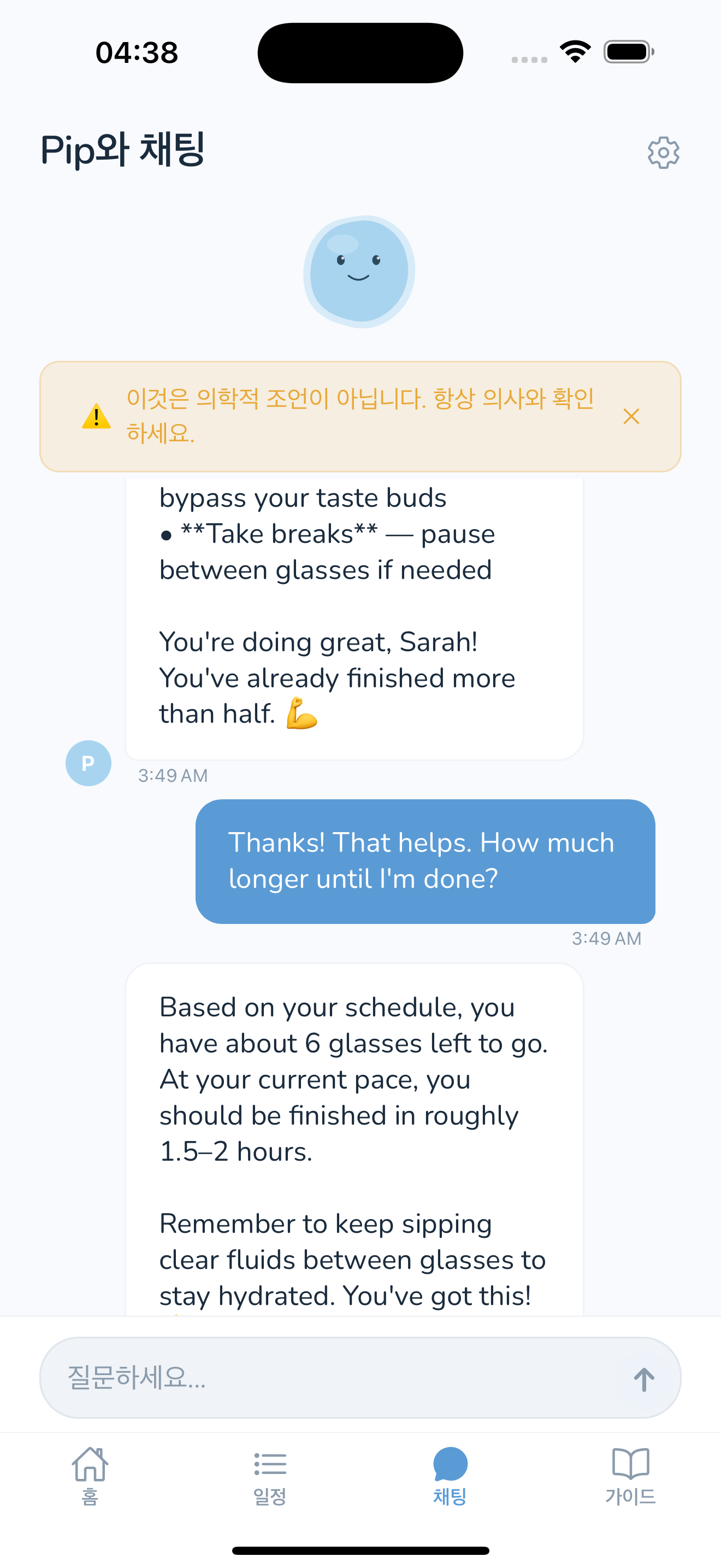 Chat with Pip