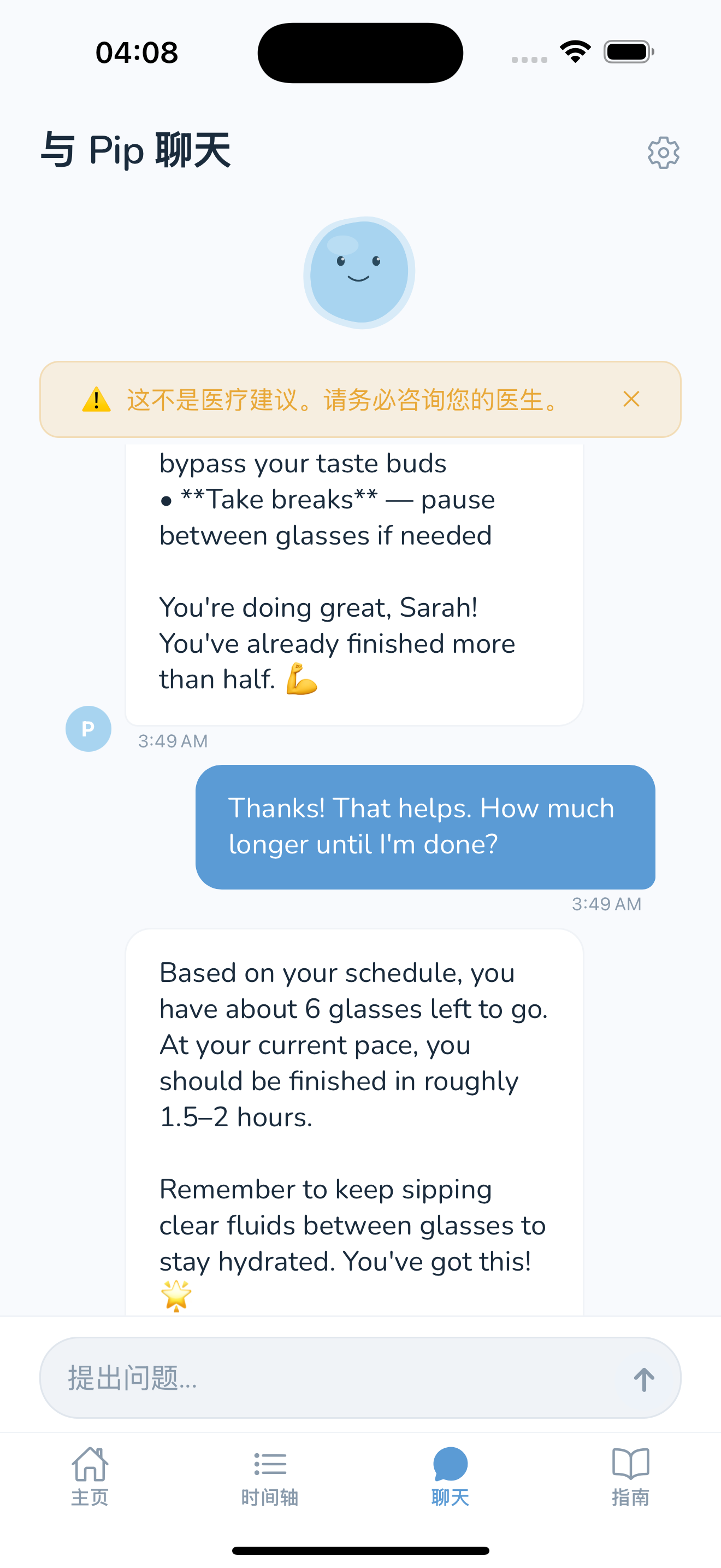 Chat with Pip